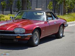 1992 Jaguar Convertible (CC-2075049) for sale in Torrance, California