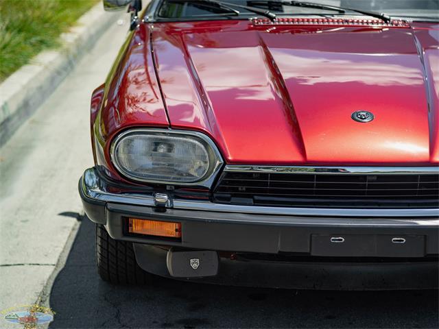 1992 Jaguar Convertible (CC-2075049) for sale in Torrance, California