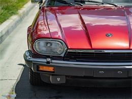 1992 Jaguar Convertible (CC-2075049) for sale in Torrance, California