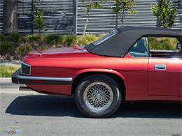 1992 Jaguar Convertible (CC-2075049) for sale in Torrance, California
