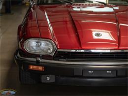 1992 Jaguar Convertible (CC-2075049) for sale in Torrance, California