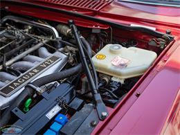 1992 Jaguar Convertible (CC-2075049) for sale in Torrance, California