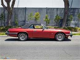 1992 Jaguar Convertible (CC-2075049) for sale in Torrance, California