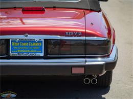 1992 Jaguar Convertible (CC-2075049) for sale in Torrance, California