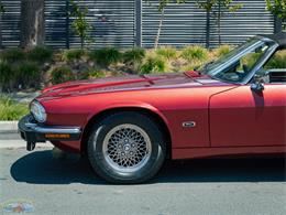 1992 Jaguar Convertible (CC-2075049) for sale in Torrance, California