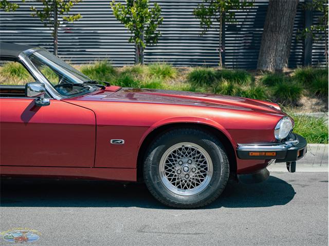 1992 Jaguar Convertible (CC-2075049) for sale in Torrance, California