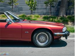 1992 Jaguar Convertible (CC-2075049) for sale in Torrance, California