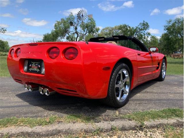 2000 Chevrolet Corvette (CC-2075059) for sale in Fredericksburg, Texas