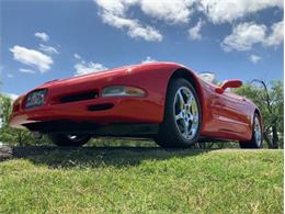 2000 Chevrolet Corvette (CC-2075059) for sale in Fredericksburg, Texas