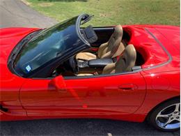 2000 Chevrolet Corvette (CC-2075059) for sale in Fredericksburg, Texas