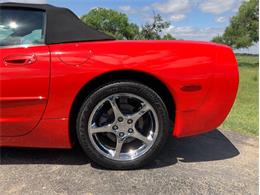 2000 Chevrolet Corvette (CC-2075059) for sale in Fredericksburg, Texas