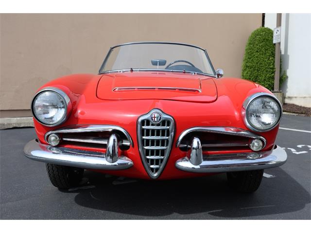 1963 Alfa Romeo Giulia Spider (CC-2075094) for sale in Astoria, New York