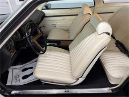 1973 Pontiac LeMans (CC-2075097) for sale in Mundelein, Illinois