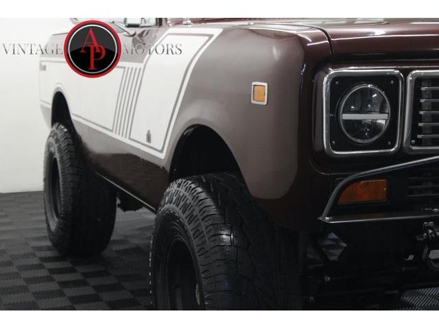 1976 International Scout (CC-2075105) for sale in Statesville, North Carolina