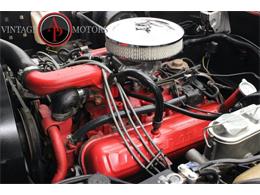 1976 International Scout (CC-2075105) for sale in Statesville, North Carolina