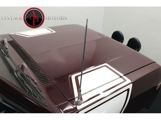 1976 International Scout (CC-2075105) for sale in Statesville, North Carolina