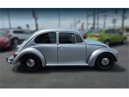 1969 Volkswagen Beetle (CC-2075134) for sale in Tacoma, Washington