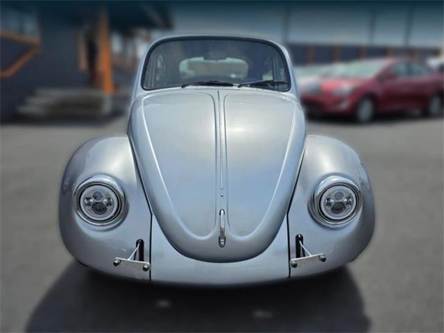 1969 Volkswagen Beetle (CC-2075134) for sale in Tacoma, Washington