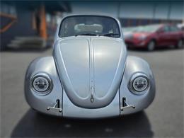 1969 Volkswagen Beetle (CC-2075134) for sale in Tacoma, Washington