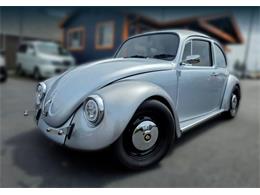 1969 Volkswagen Beetle (CC-2075134) for sale in Tacoma, Washington