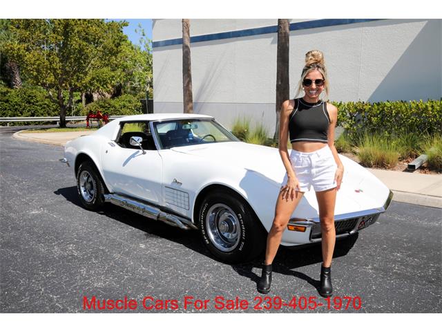 1971 Chevrolet Corvette (CC-2075149) for sale in Fort Myers, Florida