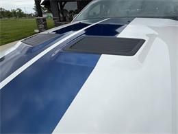2008 Shelby GT500 (CC-2075153) for sale in Orrville, Ohio