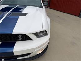 2008 Shelby GT500 (CC-2075153) for sale in Orrville, Ohio