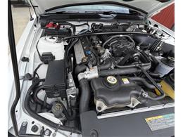 2008 Shelby GT500 (CC-2075153) for sale in Orrville, Ohio