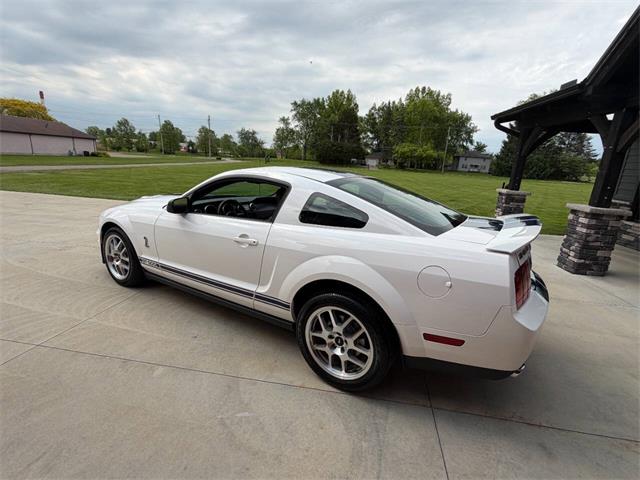 2008 Shelby GT500 (CC-2075153) for sale in Orrville, Ohio