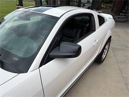 2008 Shelby GT500 (CC-2075153) for sale in Orrville, Ohio