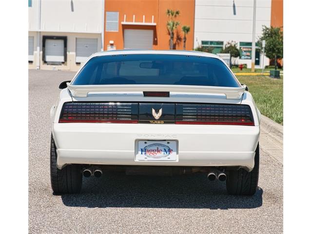 1989 Pontiac Firebird Trans Am (CC-2075190) for sale in Hobart, Indiana