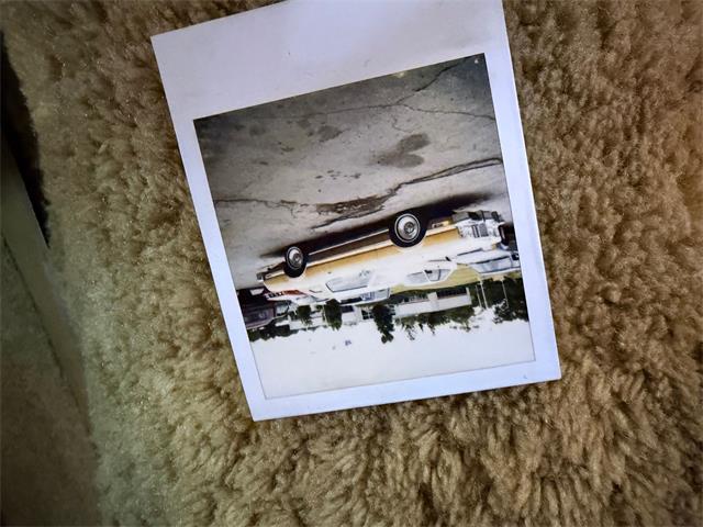 1976 Ford Thunderbird (CC-2075200) for sale in Annandale, Minnesota