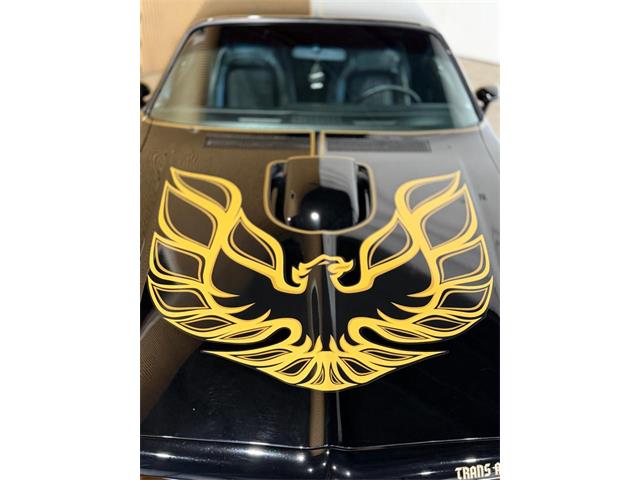 1976 Pontiac Firebird Trans Am (CC-2075225) for sale in Santa Rosa, Florida