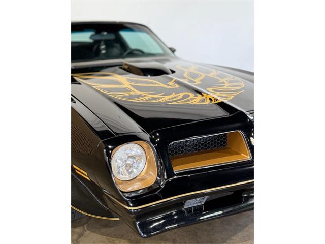 1976 Pontiac Firebird Trans Am (CC-2075225) for sale in Santa Rosa, Florida