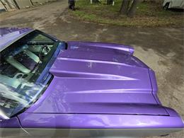 1972 Chevrolet Camaro Z28 (CC-2075237) for sale in Waconia , Minnesota