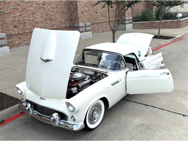 1956 Ford Thunderbird (CC-2075255) for sale in Dallas, Texas