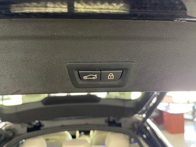 2020 BMW X6 (CC-2075279) for sale in Jacksonville, Florida