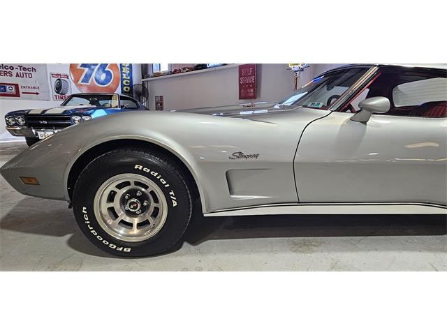 1976 Chevrolet Corvette Stingray (CC-2075309) for sale in Hudson, Florida