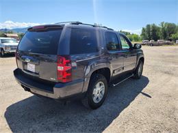 2010 Chevrolet Tahoe (CC-2075319) for sale in Lolo, Montana