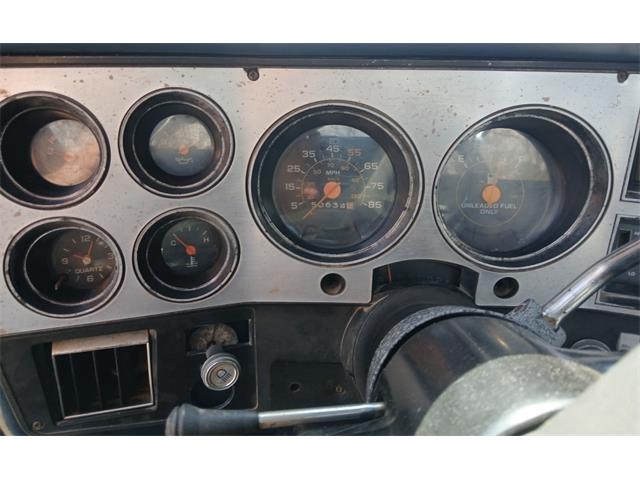 1984 Chevrolet Pickup (CC-2070534) for sale in Houston, Missouri