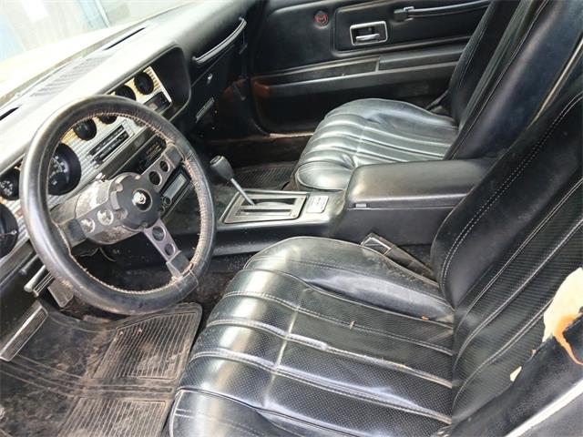 1976 Pontiac Firebird Trans Am (CC-2070535) for sale in Houston, Missouri