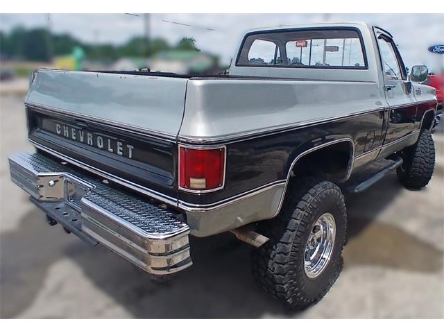 1980 Chevrolet Custom 10 (CC-2070537) for sale in Houston, Missouri