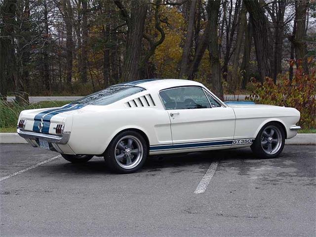 1965 Ford Shelby GT350 (CC-2075376) for sale in Halton Hills, Ontario