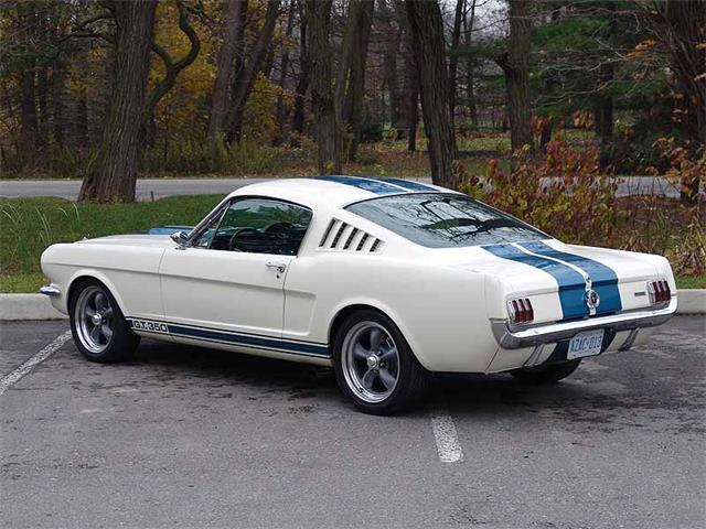 1965 Ford Shelby GT350 (CC-2075376) for sale in Halton Hills, Ontario