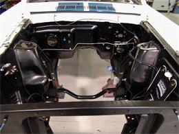 1965 Ford Shelby GT350 (CC-2075376) for sale in Halton Hills, Ontario