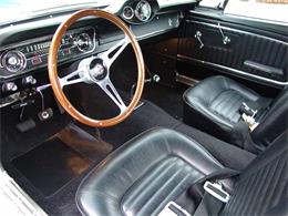 1965 Ford Shelby GT350 (CC-2075376) for sale in Halton Hills, Ontario