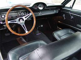 1965 Ford Shelby GT350 (CC-2075376) for sale in Halton Hills, Ontario