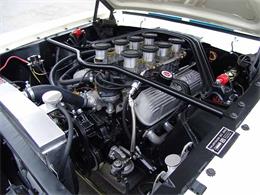 1965 Ford Shelby GT350 (CC-2075376) for sale in Halton Hills, Ontario