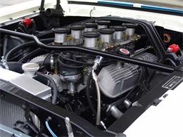 1965 Ford Shelby GT350 (CC-2075376) for sale in Halton Hills, Ontario