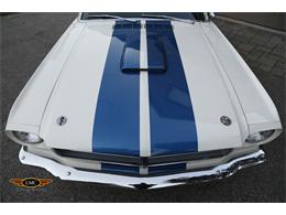 1965 Ford Shelby GT350 (CC-2075377) for sale in Halton Hills, Ontario